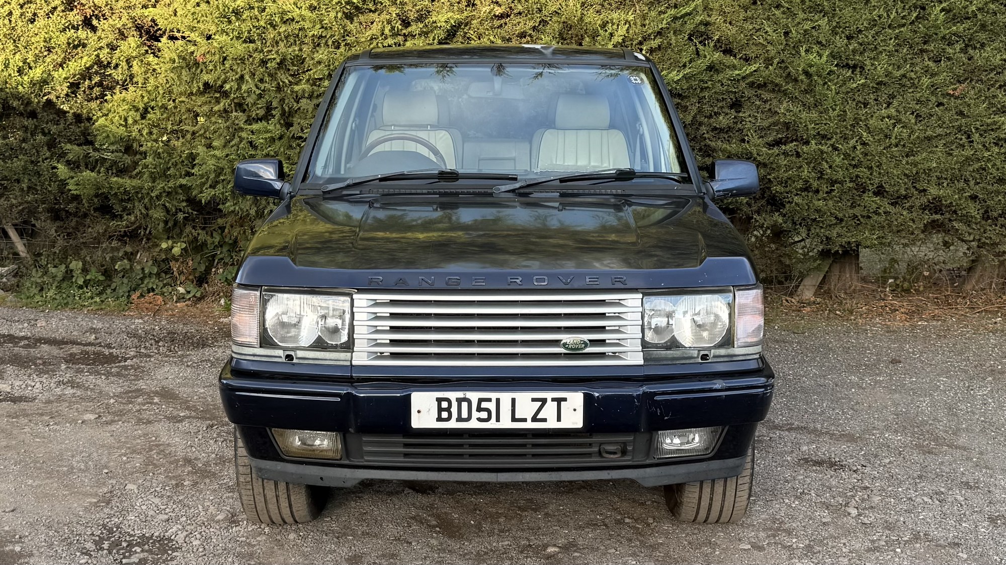 Land Rover Range Rover 4.6 V8 Vogue Station Wagon 5dr (2001) image 8